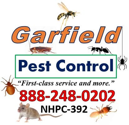 Commercial Pest Control Services Utah